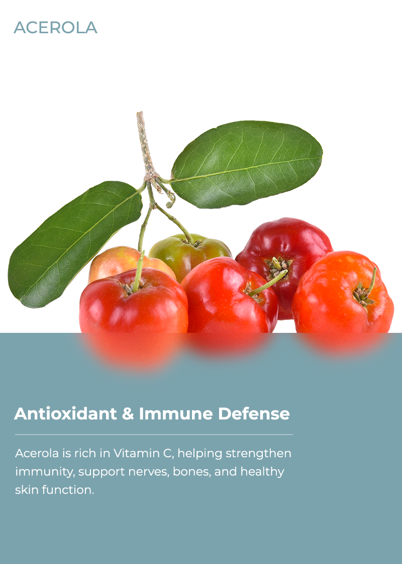 Acerola Cherry