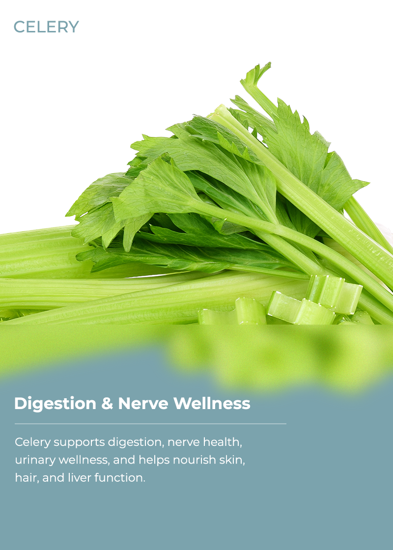 Celery