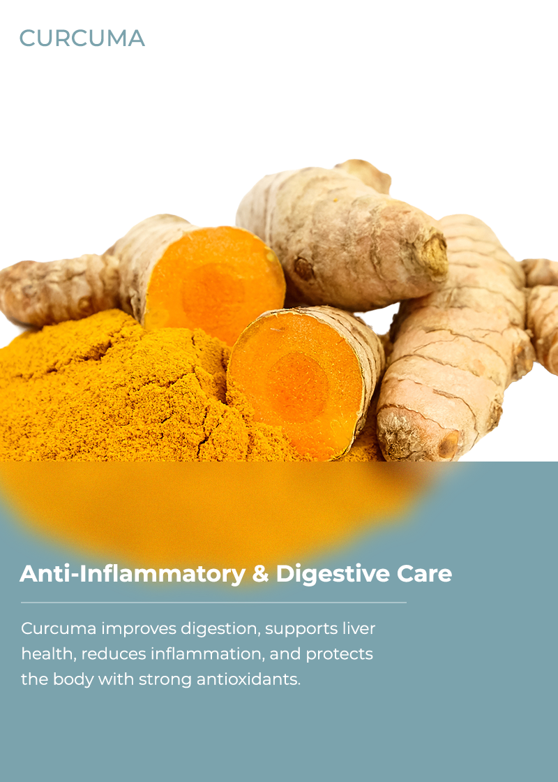 Curcuma