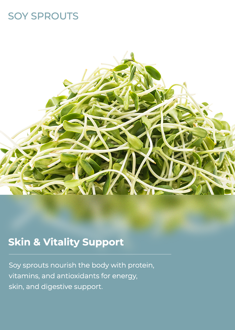 Soy Sprouts